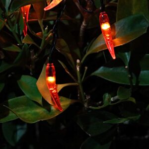 Amants01 Solar Chili String Lights,Red Chili Pepper String Lights 50 LEDs Solar String Lights for Home,Gardens,Park,Patios Decoration,Party,Wedding,Xmas,Chinese New Year.