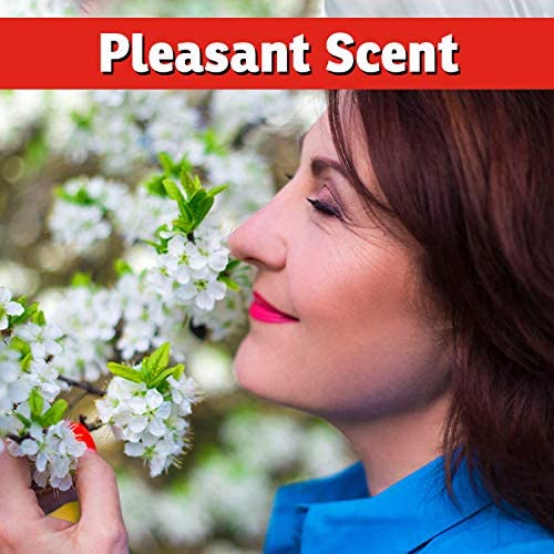 I Must Garden Deer Repellent Special [32oz Concentrate + 32oz Ready-to-Use Spray] - Natural Mint Scent