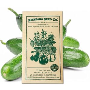 cucumber seeds – tsuyataro – hybrid -500 mg packet ~20 seeds – non-gmo, f1 hybrid – asian garden vegetable