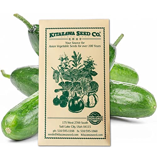 Cucumber Seeds - Tsuyataro - Hybrid -500 Mg Packet ~20 Seeds - Non-GMO, F1 Hybrid - Asian Garden Vegetable