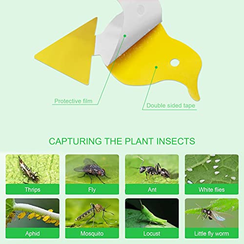 48 Pcs Sticky Traps for Fruit Fly, Whitefly, Fungus Gnat, Mosquito and Bug, Yellow Plant Sticky Insect Catcher Traps for Indoor/Outdoor/Kitchen, Non-Toxic and Odorless