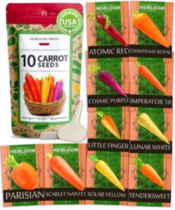 10 heirloom carrot seeds – 2500+ rainbow carrot seeds – high germinating vegetable seeds sourced in usa – carrot seeds for planting indoors or outdoors home garden