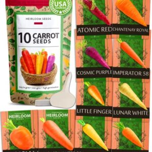 10 Heirloom Carrot Seeds - 2500+ Rainbow Carrot Seeds - High Germinating Vegetable Seeds Sourced in USA - Carrot Seeds for Planting Indoors or Outdoors Home Garden
