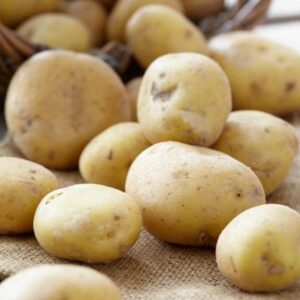 Yukon Gold Seed Potato, Yukon Gold Seed Potatoes, 5 lbs Planting Ornaments Garden Perennials Simple to Grow Pots Gift