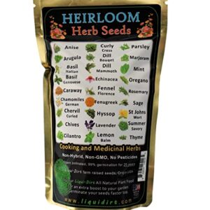 heirloom seeds pack herbs 27 varieties with over 15,000 seeds – medicinal and cooking with hard to find herbs types