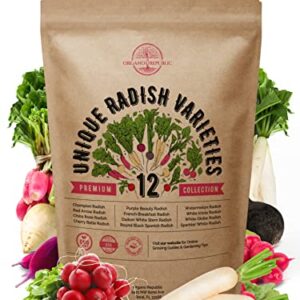 12 Radish Seeds Variety Pack for Planting Indoor & Outdoors 2400+ Heirloom Non-GMO Bulk Radish Garden Seeds: Daikon, Cherry Belle, French, Breakfast, Champion, Purple, Watermelon Radishes Seeds & More