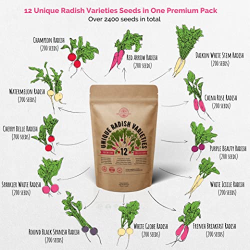 12 Radish Seeds Variety Pack for Planting Indoor & Outdoors 2400+ Heirloom Non-GMO Bulk Radish Garden Seeds: Daikon, Cherry Belle, French, Breakfast, Champion, Purple, Watermelon Radishes Seeds & More