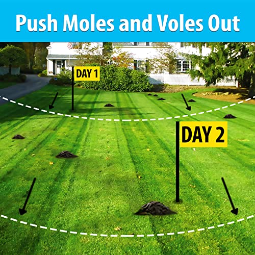 Nature's MACE Mole & Vole Repellent 22lb Granular/Covers 17,600 Sq. Ft. / Keep Moles & Voles Out of Your Lawn and Garden/Guaranteed to Repel Moles/Safe to use Around Home, Children, & Plants