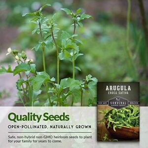 Survival Garden Seeds - Arugula Seed for Planting - Packet with Instructions to Plant and Grow Garden Rocket Green Leafy Vegetables in Your Home Vegetable Garden - Non-GMO Heirloom Variety - 1 Pack