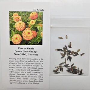 David's Garden Seeds Flower Zinnia Queeny Lime Orange 7676 (Orange) 50 Non-GMO, Open Pollinated Seeds