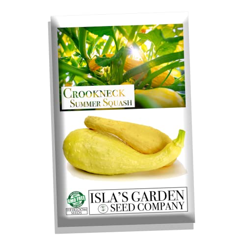 Crookneck Summer Squash Seeds for Planting, 30+ Heirloom Seeds Per Packet, (Isla's Garden Seeds), Non GMO Seeds, Botanical Name: Cucurbita moschata, Great Home Garden Gift