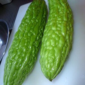 Bitter Gourds Seeds (Asian vegetable)"Green Skin" - 8-10" long - balsam pear(25 Seeds)