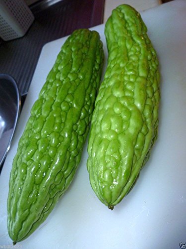 Bitter Gourds Seeds (Asian vegetable)"Green Skin" - 8-10" long - balsam pear(25 Seeds)