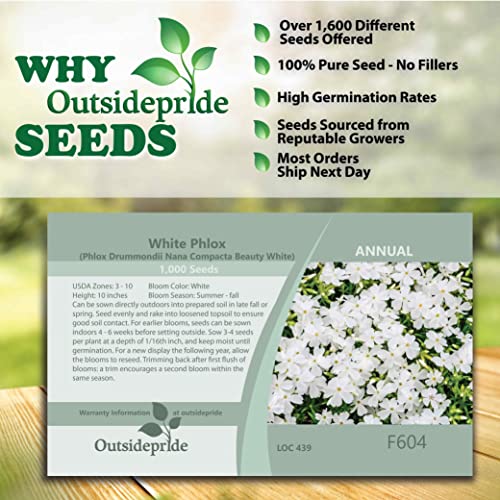 Outsidepride Phlox White Ground Cover, Garden Flowers, Bedding & Container Plants - 1000 Seeds