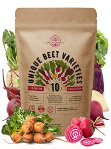 10 rare beet seeds variety pack for planting indoor & outdoors 1000+ heirloom non-gmo bulk beets gardening seeds: chioggia, detroit dark red, sugar, cylindra, golden, bulls blood, white albino & more