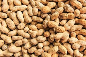 20 peanut seeds in the shell for planting – grow your own peanuts – outdoor home gardens | planting instructions included