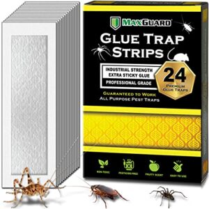 maxguard glue trap strips (24 traps) non-toxic extra sticky glue board pre-baited with fruity scent attractant trap & kill insects, bugs, spiders, crickets, scorpions, cockroaches, centipedes, mice