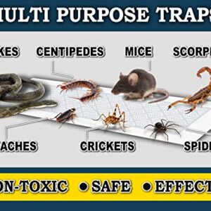 MaxGuard Glue Trap Strips (24 Traps) Non-Toxic Extra Sticky Glue Board Pre-Baited with Fruity Scent Attractant Trap & Kill Insects, Bugs, Spiders, Crickets, Scorpions, Cockroaches, Centipedes, Mice