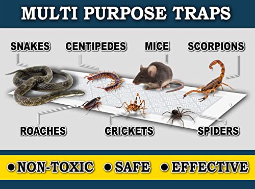 MaxGuard Glue Trap Strips (24 Traps) Non-Toxic Extra Sticky Glue Board Pre-Baited with Fruity Scent Attractant Trap & Kill Insects, Bugs, Spiders, Crickets, Scorpions, Cockroaches, Centipedes, Mice