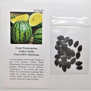David's Garden Seeds Fruit Watermelon Yellow Petite 9832 (Yellow) 25 Non-GMO, Heirloom Seeds