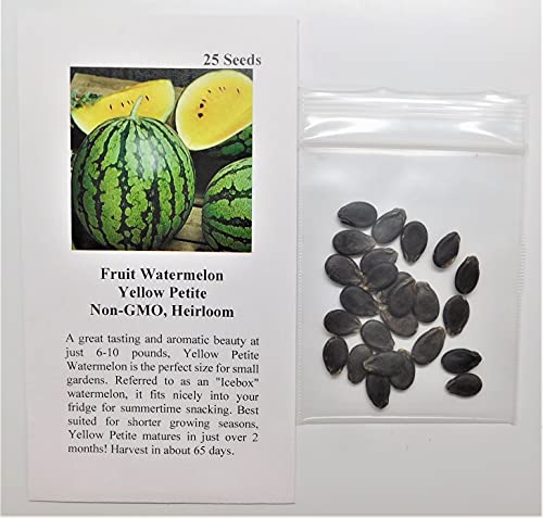 David's Garden Seeds Fruit Watermelon Yellow Petite 9832 (Yellow) 25 Non-GMO, Heirloom Seeds