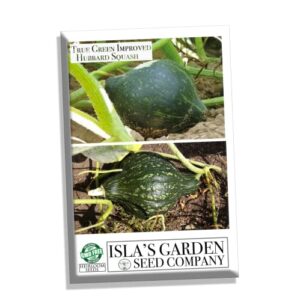 True Green Improved Hubbard Squash Seeds for Planting, 25 Heirloom Seeds Per Packet, (Isla's Garden Seeds), Non GMO Seeds, Scientific Name: Cucurbita Maxima, Great Home Garden Gift