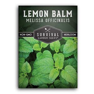 survival garden seeds – lemon balm seed for planting – packet with instructions to plant and grow melissa officinalis in your home vegetable garden – non-gmo heirloom variety