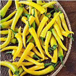 golden cayenne hot peppers seeds (20+ seeds) | non gmo | vegetable fruit herb flower seeds for planting | home garden greenhouse pack