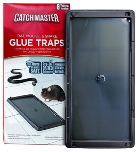 baited glue traps by catchmaster – 6 pre-baited trays, ready to use indoors. rat mouse snake exterminator plastic sticky adhesive easy no-mess simple non-toxic disposable – made in the usa