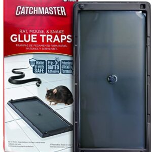 Baited Glue Traps by Catchmaster - 6 Pre-Baited Trays, Ready to Use Indoors. Rat Mouse Snake Exterminator Plastic Sticky Adhesive Easy No-Mess Simple Non-Toxic Disposable - Made in The USA