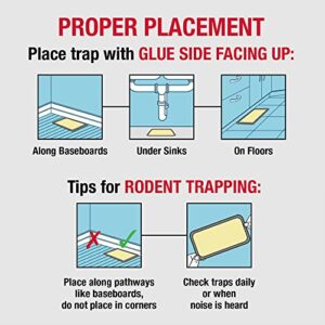 Baited Glue Traps by Catchmaster - 6 Pre-Baited Trays, Ready to Use Indoors. Rat Mouse Snake Exterminator Plastic Sticky Adhesive Easy No-Mess Simple Non-Toxic Disposable - Made in The USA