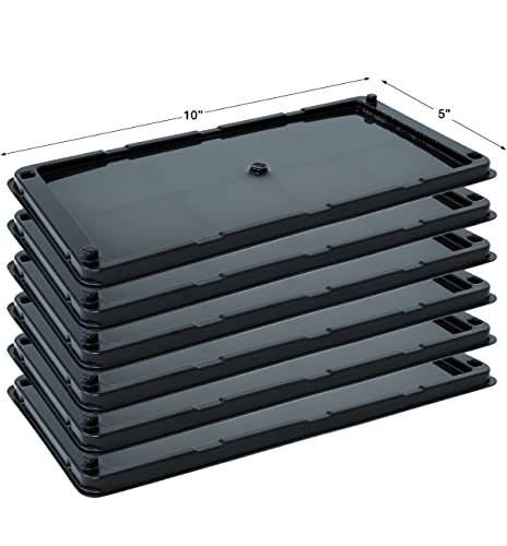 Baited Glue Traps by Catchmaster - 6 Pre-Baited Trays, Ready to Use Indoors. Rat Mouse Snake Exterminator Plastic Sticky Adhesive Easy No-Mess Simple Non-Toxic Disposable - Made in The USA