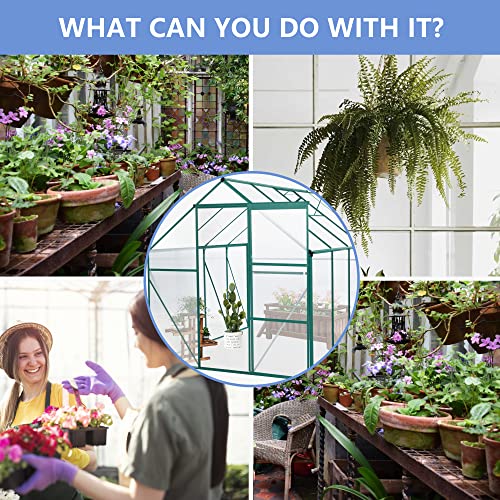 Outdoor Patio Greenhouse, Adjustable Roof Vent and Rain Gutter for Plants,Walk-in Polycarbonate Greenhouse, Garden Greenhouse for Flowers in Winter, Garden, Backyard,Silver-6 x 8 FT