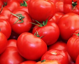 floradade tomato – florida and deep south grower – b204 (25+ seeds, or 1/10 gram)