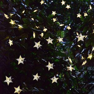 Darknessbreak Solar Christmas Lights Outdoor Star Lights String,35ft 50 LED Twinkle Fairy Solar String Lights Waterproof for Patio,Garden,Backyard,Lawn,Christmas Tree,Porch Decor.