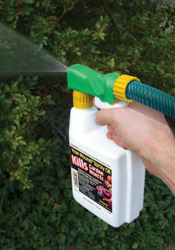 Summit 121-12 Year-Round Spray Oil for Garden Insects Ready-to-Spray, 1-Quart
