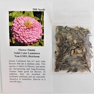 David's Garden Seeds Flower Zinnia Solid Color Luminosa FBA-1164 (Pink) 200 Non-GMO, Heirloom Seeds