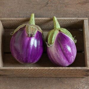 david’s garden seeds eggplant rosa bianca 2244 (purple) 50 non-gmo, heirloom seeds