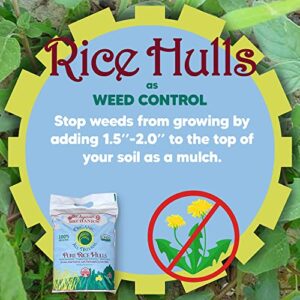 Organic Mechanics Pure Rice Hulls - Perlite Substitute Soil Amendment for Gardens, 8 Quart Bag