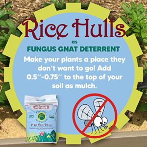 Organic Mechanics Pure Rice Hulls - Perlite Substitute Soil Amendment for Gardens, 8 Quart Bag