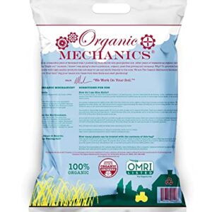 Organic Mechanics Pure Rice Hulls - Perlite Substitute Soil Amendment for Gardens, 8 Quart Bag