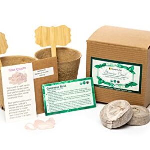 DesertUSA Heirloom Organic Genovese Basil Garden Grow Kit in Gift Box, Non-GMO Herb Seeds, Instructions, Bamboo Plant Labels, 2 Pots, Rose Quartz