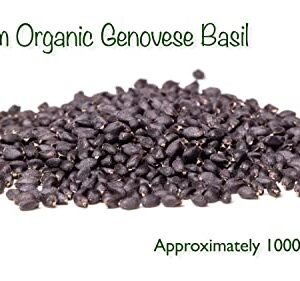 DesertUSA Heirloom Organic Genovese Basil Garden Grow Kit in Gift Box, Non-GMO Herb Seeds, Instructions, Bamboo Plant Labels, 2 Pots, Rose Quartz