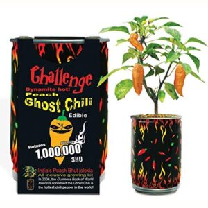 peach ghost chili growing kit can diy plant home garden gift