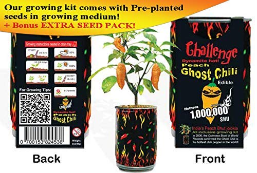 Peach Ghost Chili Growing Kit Can DIY Plant Home Garden Gift