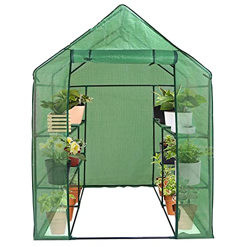 BBBuy 2-Tier Mini Greenhouse 8 Shelves Garden Plant Flower House Grow Tent Indoor Outdoor with PE Cover and Roll-Up Zipper Door Greenhouse, Grow Plant Herbs Flowers Warm House