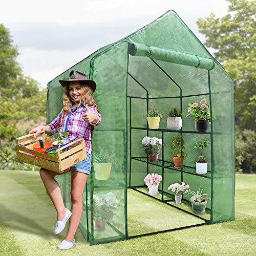 BBBuy 2-Tier Mini Greenhouse 8 Shelves Garden Plant Flower House Grow Tent Indoor Outdoor with PE Cover and Roll-Up Zipper Door Greenhouse, Grow Plant Herbs Flowers Warm House