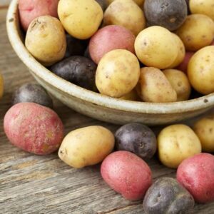 Potato Multicolor Mix - 100 True Seeds Not Root - Grow Your Own Potato