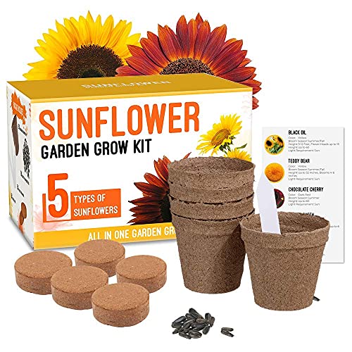 Sunflower Grow Kit - Grow 5 Different Sunflowers 22 Piece - Start Your Own Flower Garden - A Complete Gardeners Gift - Beginner Starter Kit - Non GMO Seed Variety Pack - Indoor & Outdoor Use