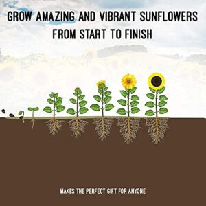 Sunflower Grow Kit - Grow 5 Different Sunflowers 22 Piece - Start Your Own Flower Garden - A Complete Gardeners Gift - Beginner Starter Kit - Non GMO Seed Variety Pack - Indoor & Outdoor Use